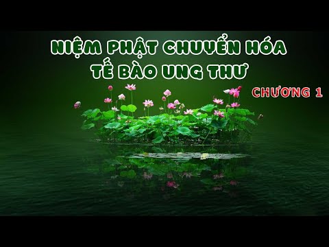 Niệm Phật Chuyển Hóa Tế Bào Ung Thư phần 1/8 - Chương 1 - PS Đạo Chứng