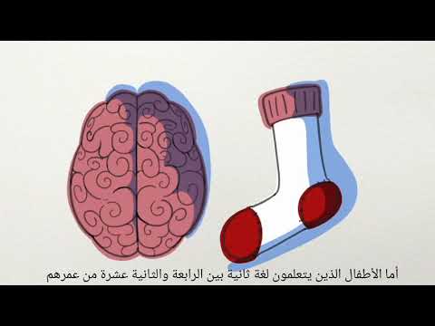 كيف يتغيرُ دماغك عند تعلُّم أيّ لغة؟✨