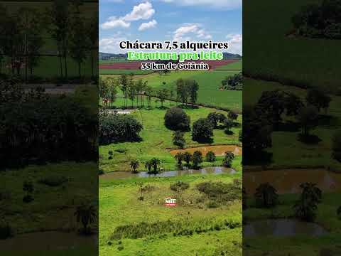 Chácara à Venda em Brazabrantes - 7,5 Alqueires (36 HA)! Apenas 30 km de Goiânia #pecuaria #chacara