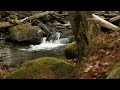 Rob Costlow - The River (LandscapeHD)