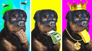 Chop Finally Becomes Rich (THE END)  GTA 5