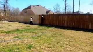 preview picture of video 'Conroe TX Fence Staining and Pressure Washing'