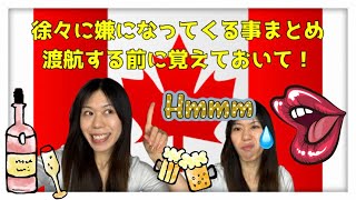 海外留学•移住する前に知っておいてください！モントリオール10年目の感想。