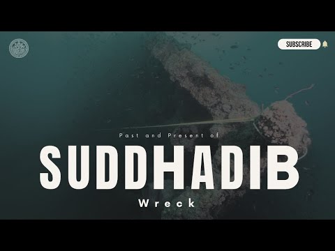 ภาพประกอบ วีดิทัศน์