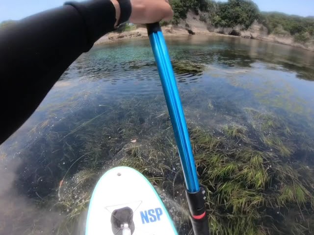 GO 4 SURF