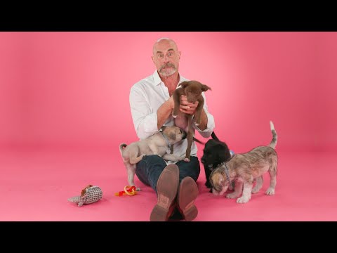 Christopher Meloni: The Puppy Interview
