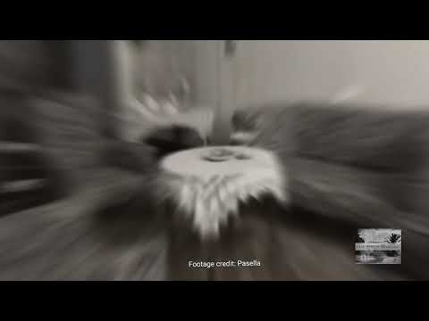 The Alanglade - Pilgrim’s Rest- Haunting Nanny