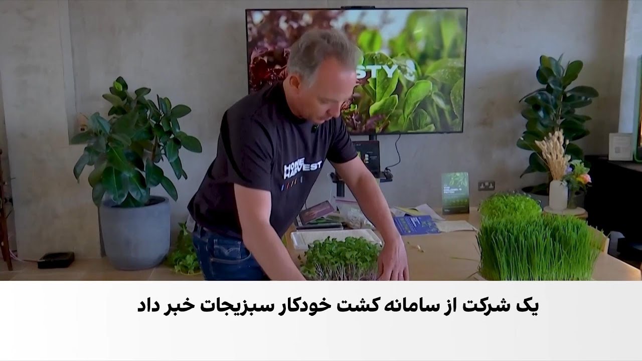 فناوری جدید برای تولید سبزیجات تازه در منازل