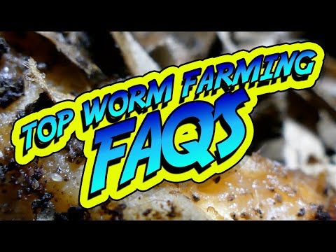 TOP FAQ's for WORM FARMERS ANSWERED!