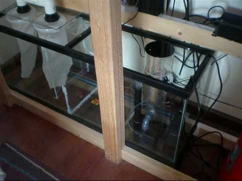 Custom Aquarium D.I.Y. Sump/Refugium for a 125 coral reef tank