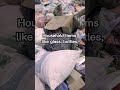 4K Glass Beach California USA