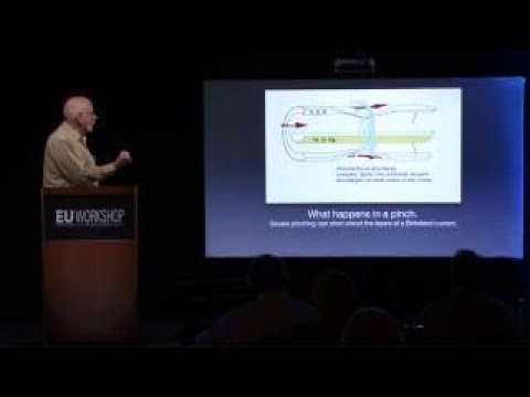 The Best Documentary Ever - Donald Scott: Modeling Birkeland Currents, Part 1 | EU Workshop