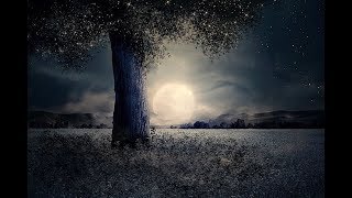 Lullaby for a stormy night - acoustic cover [Vienna Teng] [one take]