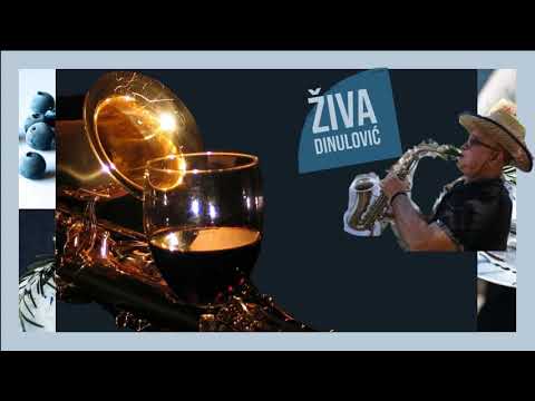 ZIVA DINULOVIC UZIVO - OPASNA VLASKA KOLA!!! (VlaskiMelos)