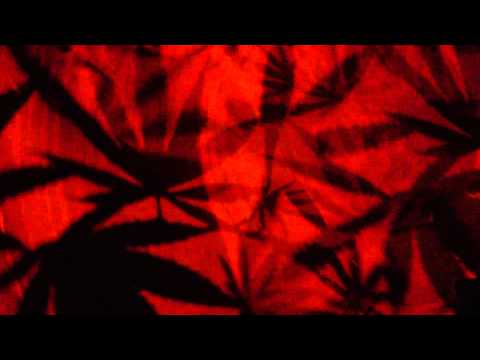 UNITED NATIONS OF DUB 2013 - SWEETPOTATO DECOR