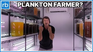 A Day In The Life Of A Plankton Farmer That Feeds Thousands Of Corals