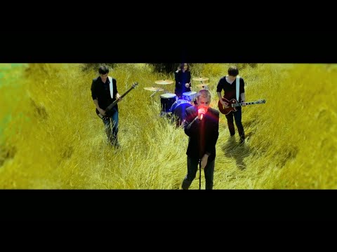 Sergey Kroitoru - Кохай (Official Music Video)