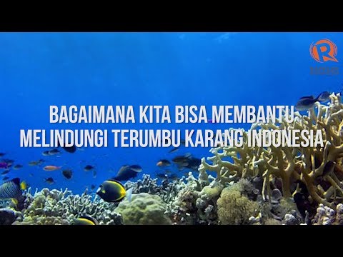 Tanpa obat potensi pemulihan Produk yang dihasilkan di impotensi