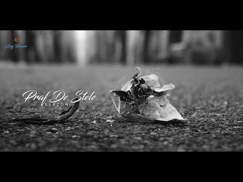 b l a z o n  - Praf De Stele (Official Video)
