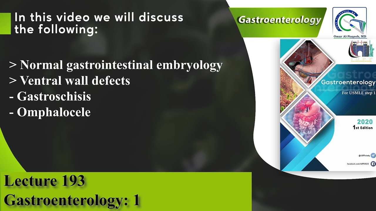 Normal Gastrointestinal embryology | Ventral wall defects | Gastroschisis | Omphalocele