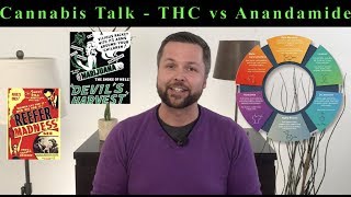 Cannabis Talk - THC and Anandamide, The Bliss Molecule