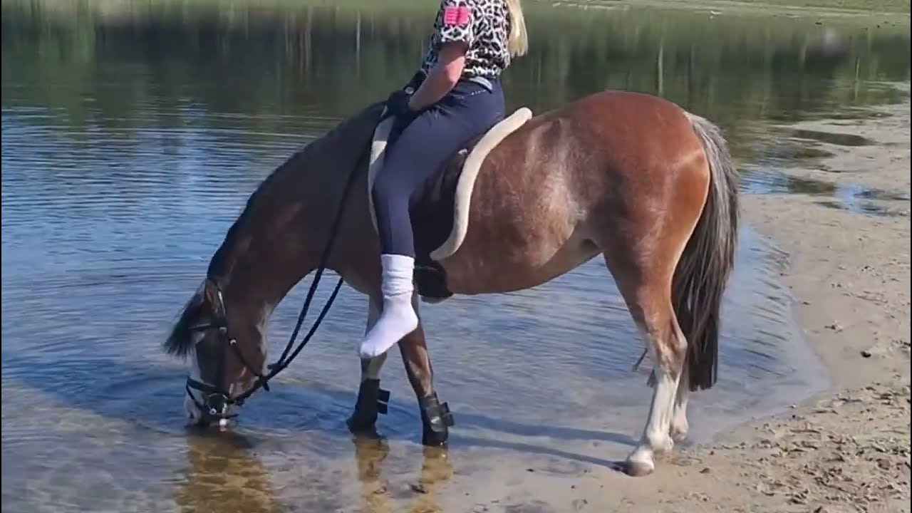 Noordhoeve's Makena video 2