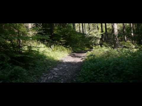 Ein Nachmittag auf dem Hunsrück