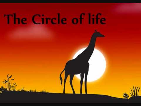 The Circle of life - Stefan Klemens