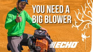 Your Tree company NEEDS this blower | Echo PB-9010T Backpack leaf blower | Tree Gear Review