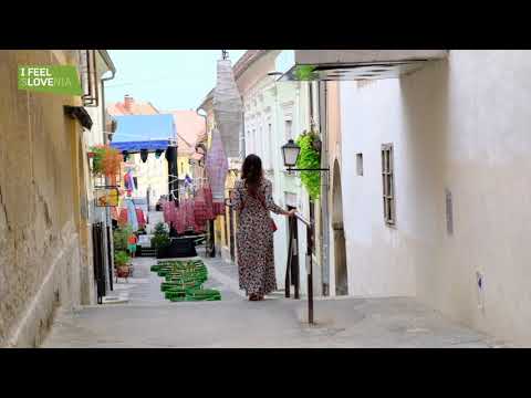 PTUJ: Days of Poetry 📚 and Wine 🍷