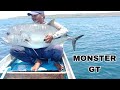 AMAZING TENSIVE SECONDS GETTING STRIKED BY A GIANT TRAVELLY MONSTER Bottomfishing Livebait