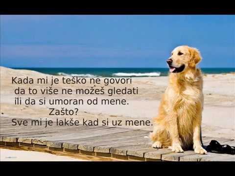 10 psećih zapovesti