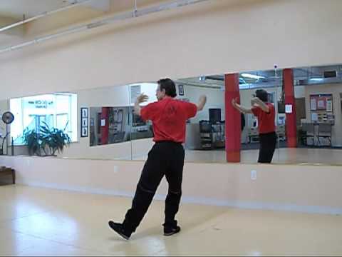Chen Pan Ling T'ai Chi Ch'uan Section 1