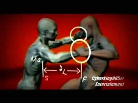 Alle Kampftechniken MMA