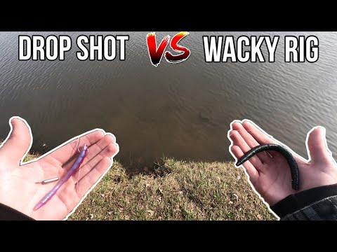 Drop Shot vs. Wacky Rig! - FINESSE Fishing SHOWDOWN!