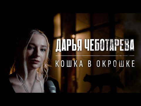 Дарья Чеботарева - Кошка в окрошке (Веня Дркин) Кавер 2023
