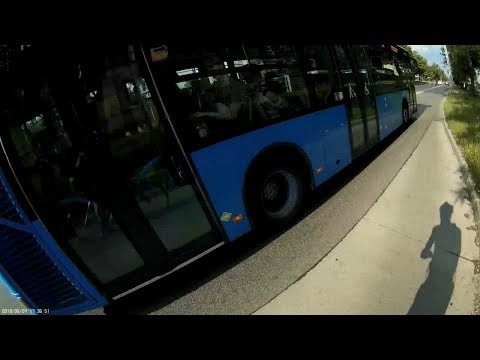 Elengedem a buszt - I let the bus go