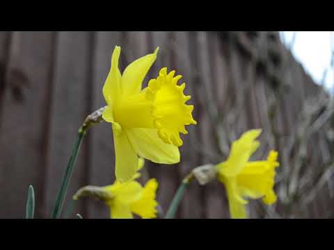*LET AGREED* 2 bedroom garden fronted property on Waterfield Avenue in Darwen - £525pcm