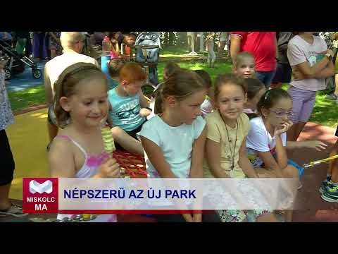 Videó előnézet