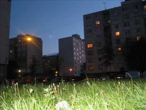 Lenerik a Author Fakt fakujeem.wmv