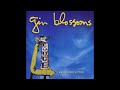 Gin Blossoms - The End Of The World HQ (Audio)