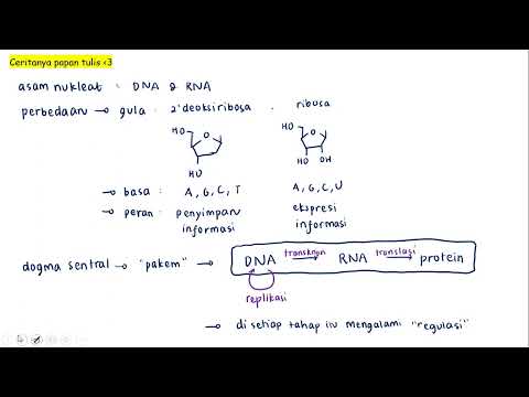 Keratin UTS DDKH 2022