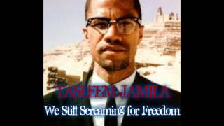 TASLEEM JAMILA:  We Still Screaming for Freedom (Malcolm X) Produced by Kerwin Young