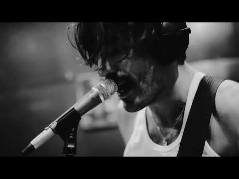 SEXY ZEBRAS - Tonterías (Live)