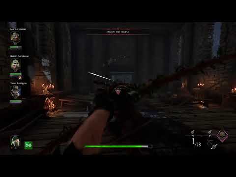 Warhammer 2 #1 - Mark Kruber and Kerillian