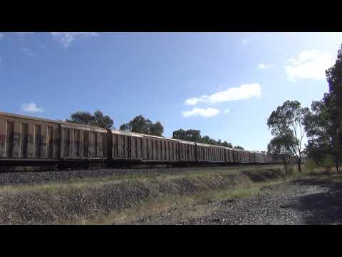 5BM9 SCT 007-CSR023 Euroa 5.4.2025 @ 10.30