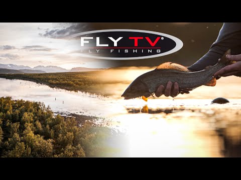 Äschen Fly TV