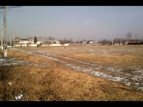 Plugușorul mare Axintele