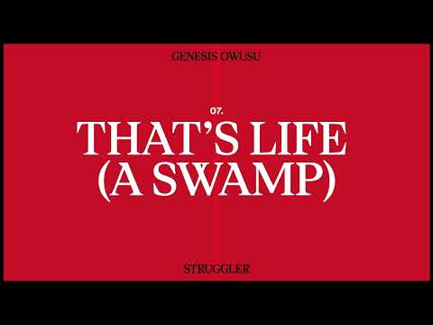 Video thumbnail for That’s Life (A Swamp)