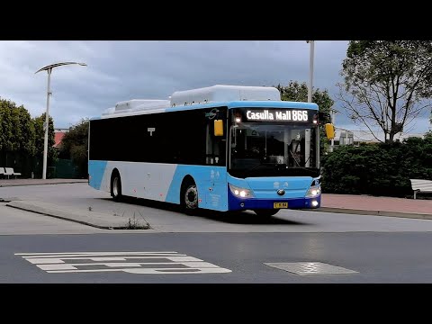 20211108 Interline Bus Service M/O 8184 - Yutong E12 ZK6131HGE